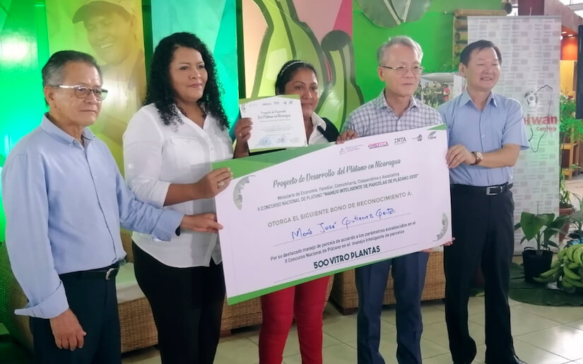 mefcca-concurso-platano